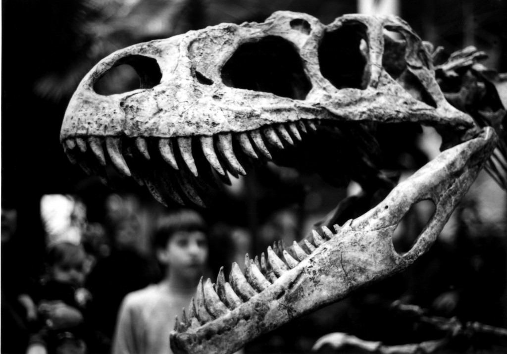 dino
