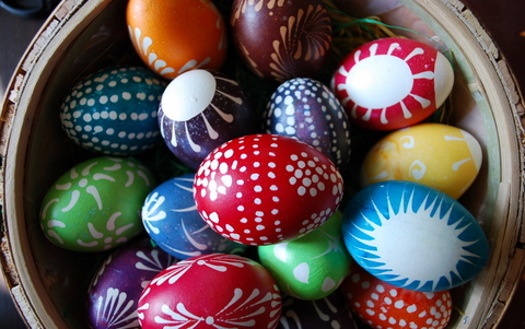 eggs