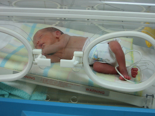 incubator
