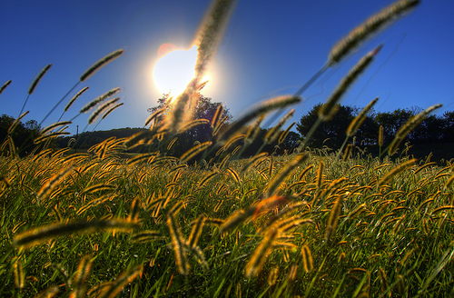 sun