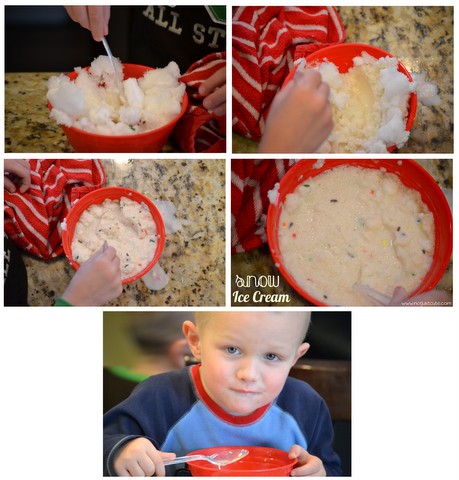 Fresh Snow Ice Cream