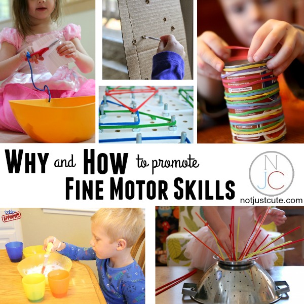Before They Write: Fine Motor Foundation